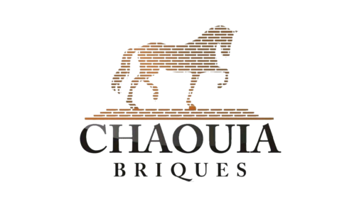 Chaouia Briques